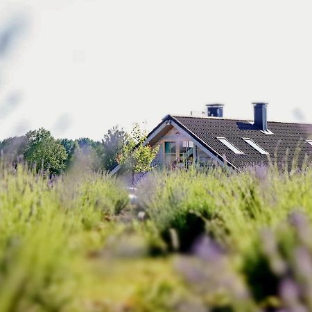 Lavender Village Kiemeliai Exteriör bild