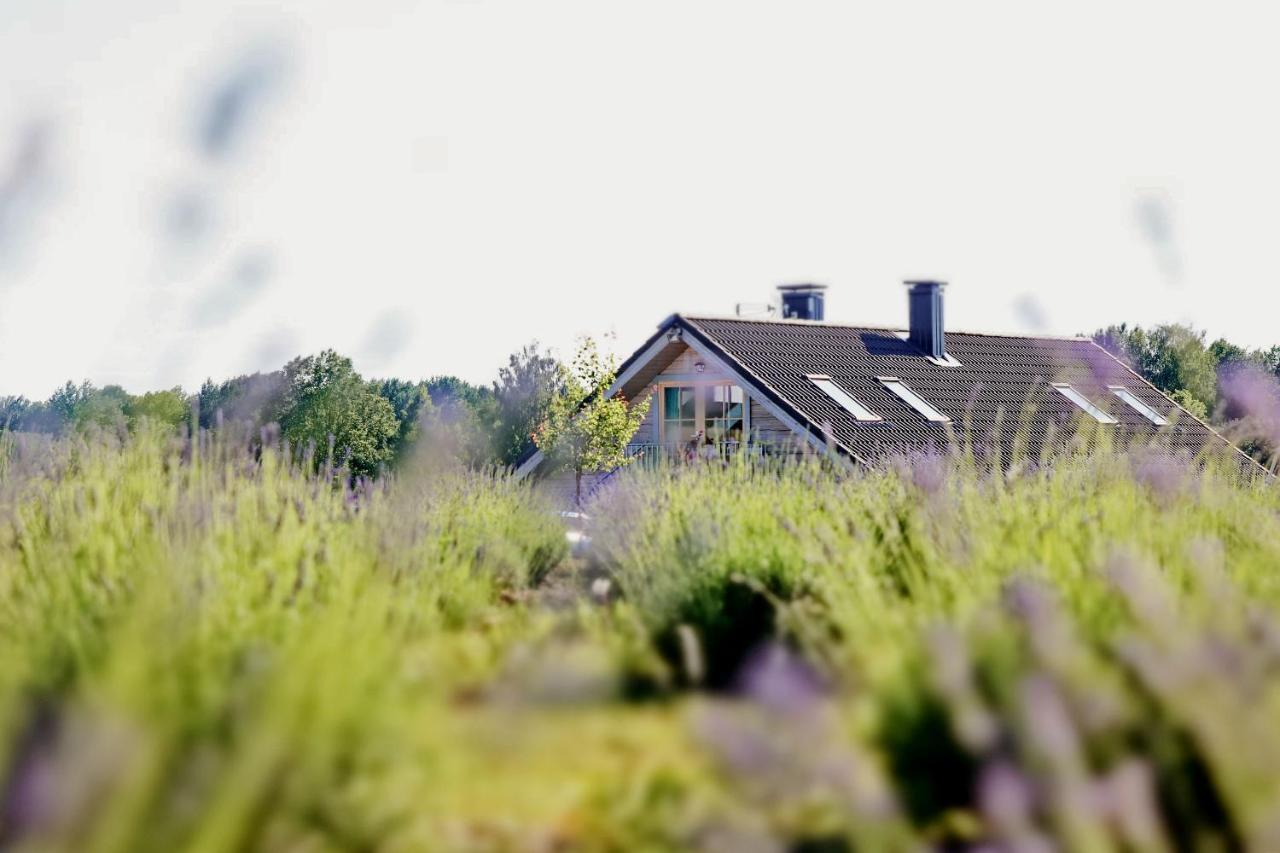 Lavender Village Kiemeliai Exteriör bild