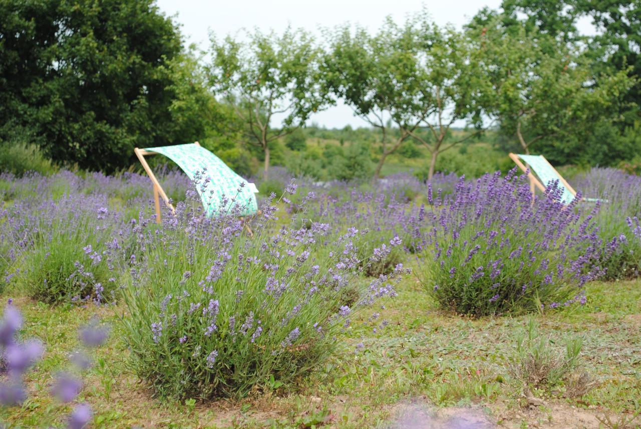 Lavender Village Kiemeliai Exteriör bild