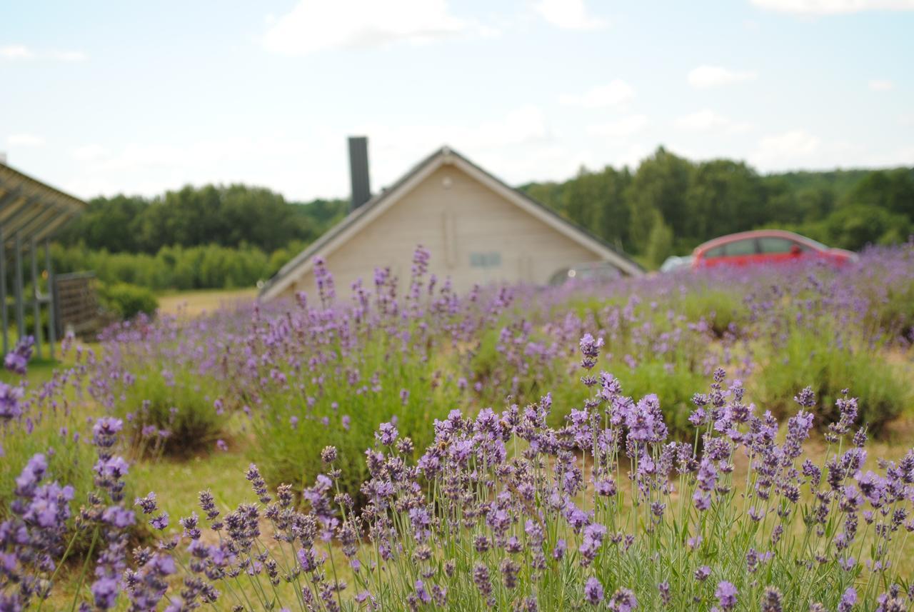 Lavender Village Kiemeliai Exteriör bild