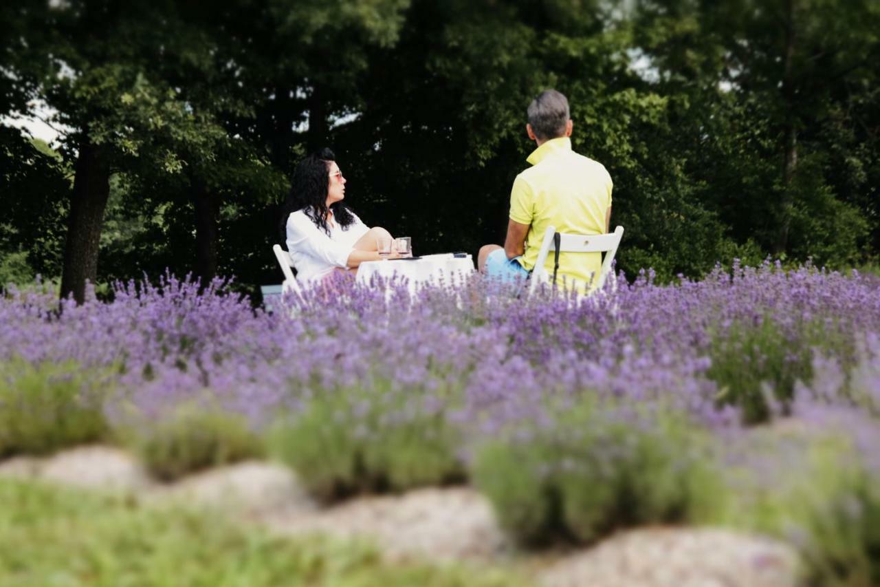 Lavender Village Kiemeliai Exteriör bild